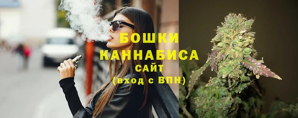 сатива Няндома