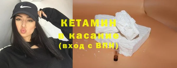 сатива Няндома