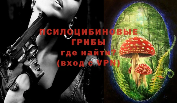 сатива Няндома