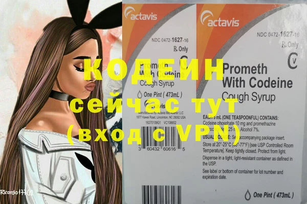 сатива Няндома