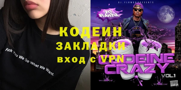 сатива Няндома