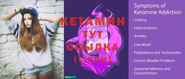 сатива Няндома