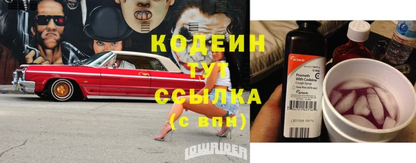 крисы Нягань