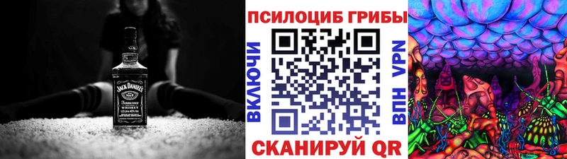 Галлюциногенные грибы Psilocybine cubensis  блэк спрут сайт  Зея 